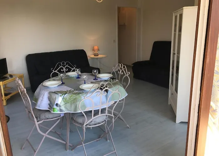 Grand En Hyper-centre De Avec Balcon, Proche Plage, Parking, Et Prestations Disponibles - Fr-1-487-327 Lejlighed *