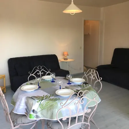 Apartamento Grand En Hyper-centre De Avec Balcon, Proche Plage, Parking, Et Prestations Disponibles
