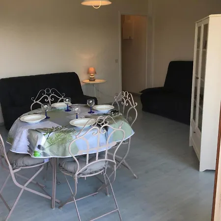 Grand En Hyper-centre De Avec Balcon, Proche Plage, Parking, Et Prestations Disponibles - Fr-1-487-327 Apartment *